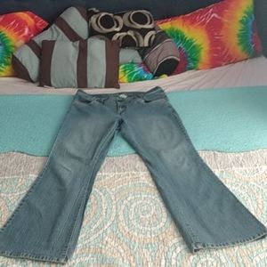 Hydraulic Jeans